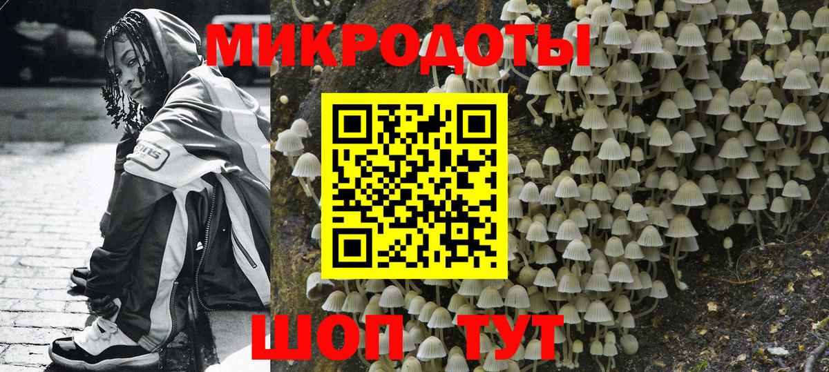 Галлюциногенные грибы Psilocybine cubensis Назрань