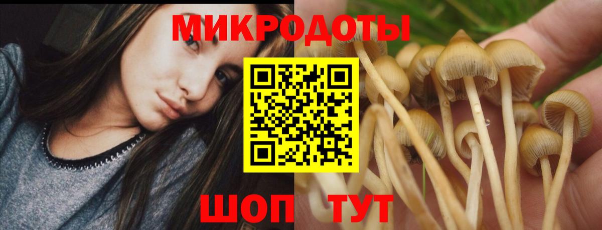 Назрань  Псилоцибиновые грибы Cubensis  Вход с VPN 